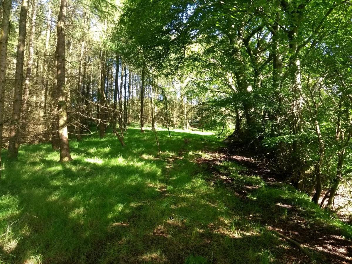 Cleeves Cabins Ailsa Luxury Lodge With Hot Tub Dalry  Luaran gambar